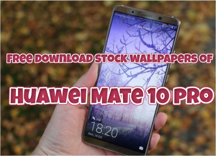 download Huawei Mate 10 pro stock wallpapers
